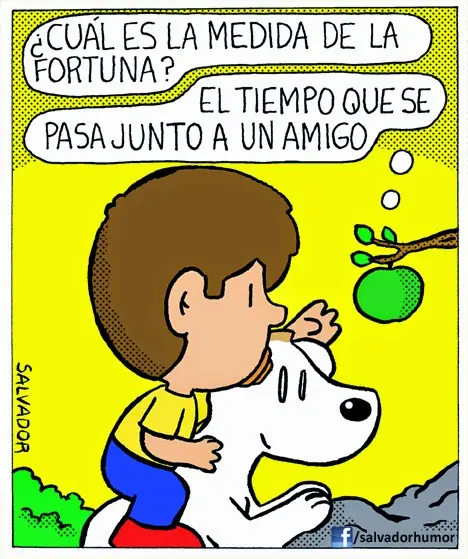 Imagenes graciosas