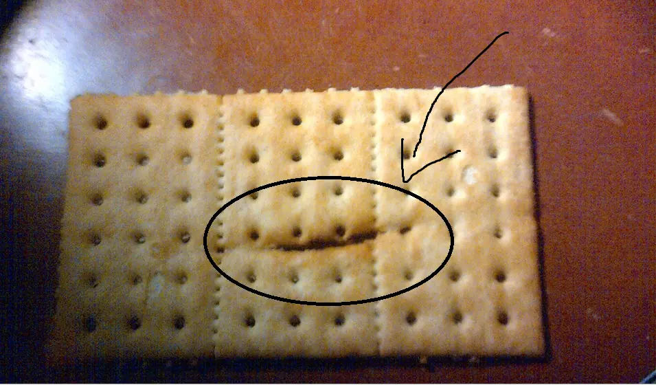 partida por la mitad