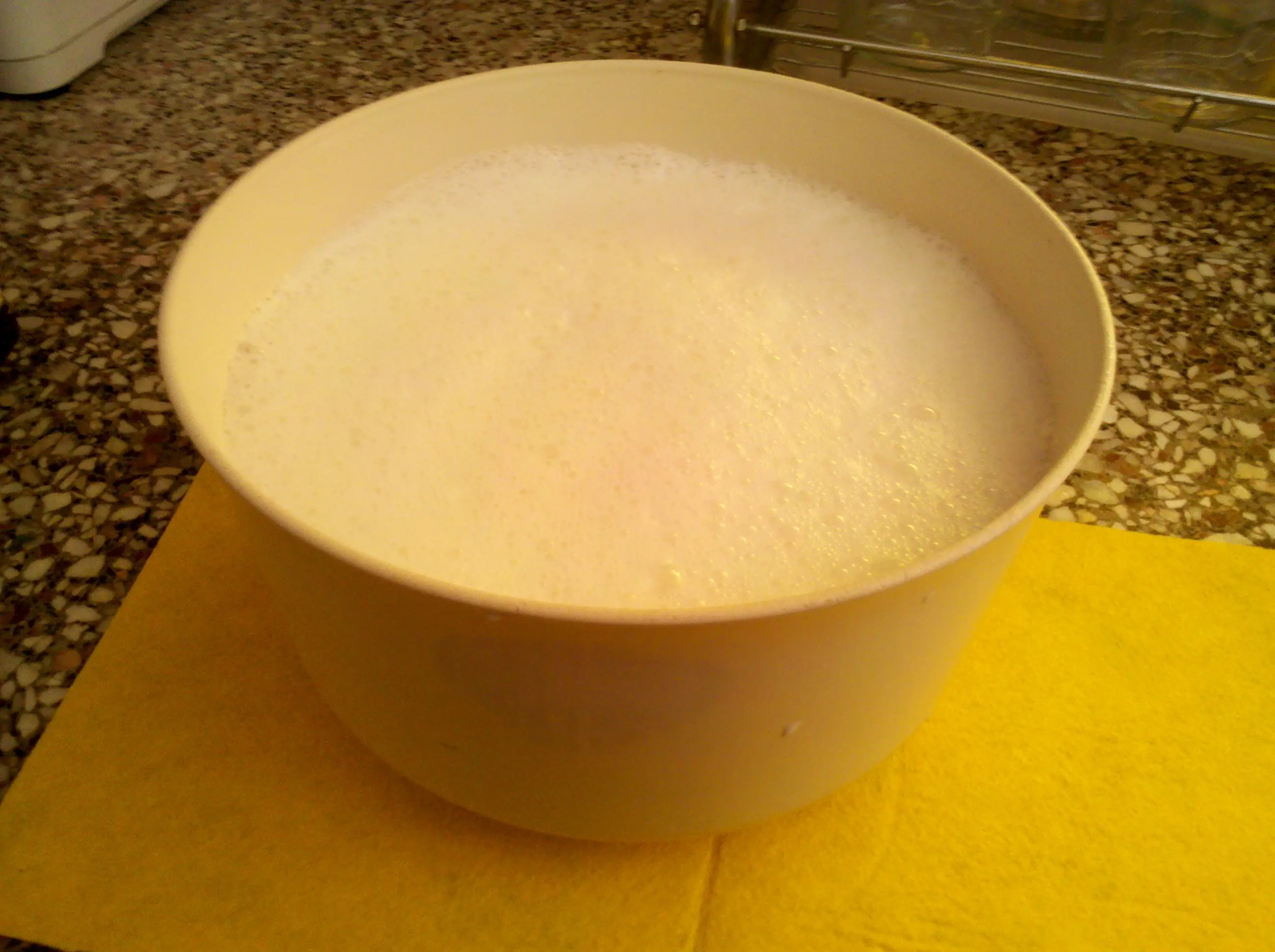 batidos proteicos