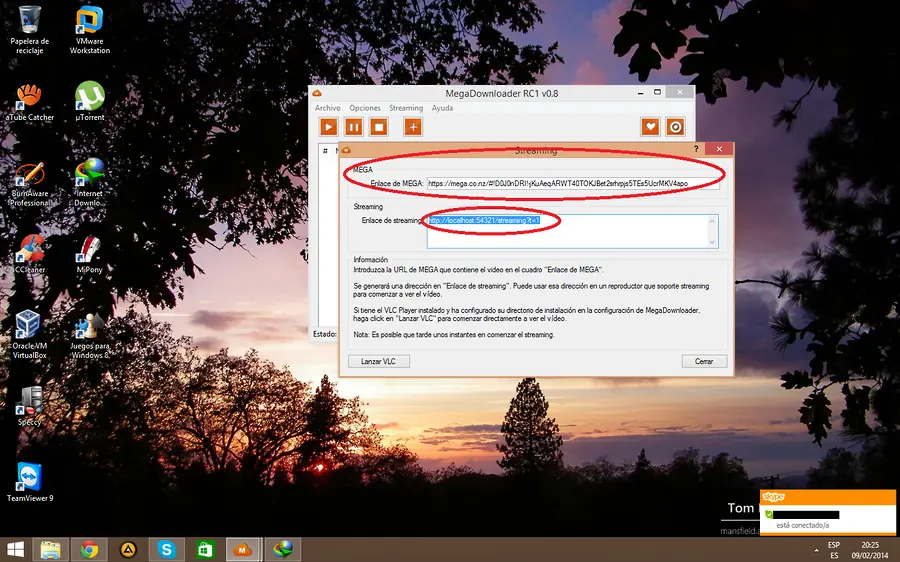 Internet Download Manger