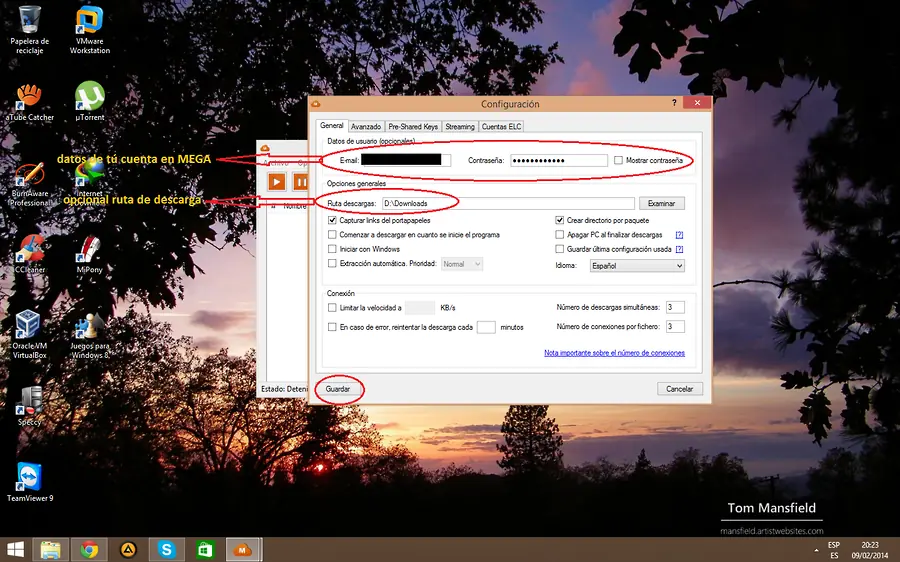 Internet Download Manger