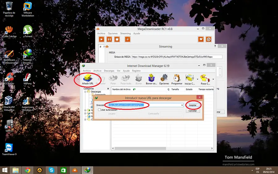 Como descargar de Mega con Internet Download Manager (IDM)