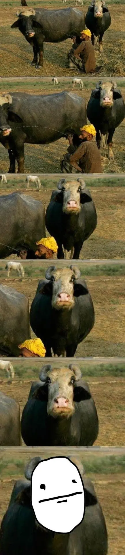 humor