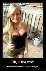 imagenes