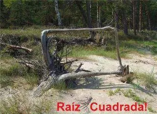 Humor al estilo Ingeniero (estudias ingeniería entra)