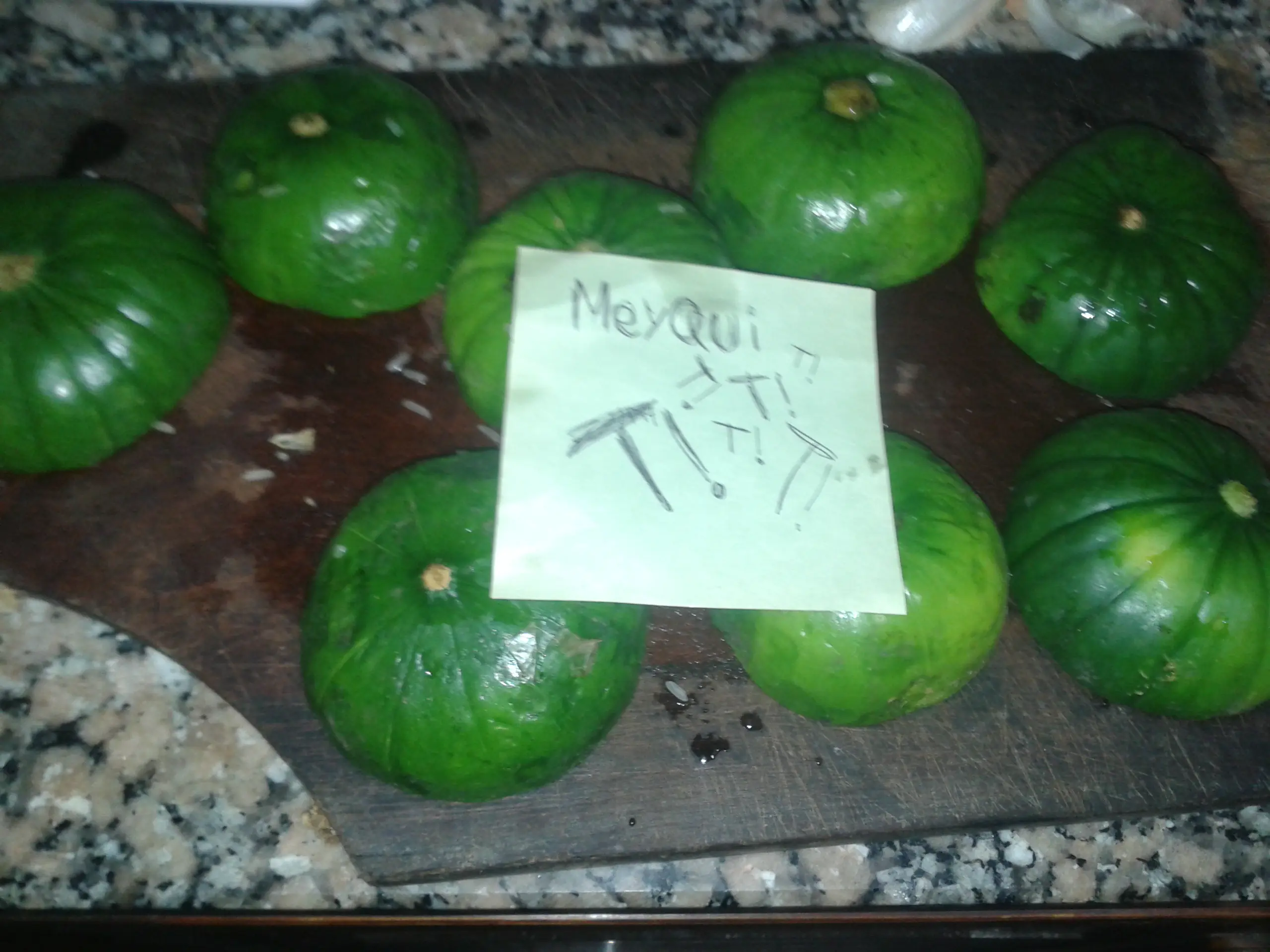 zapallitos