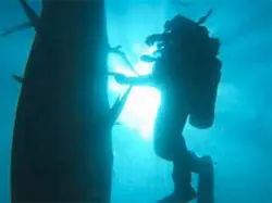 buceo