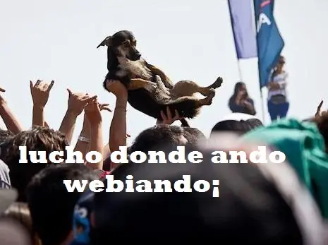imagenes chistosas