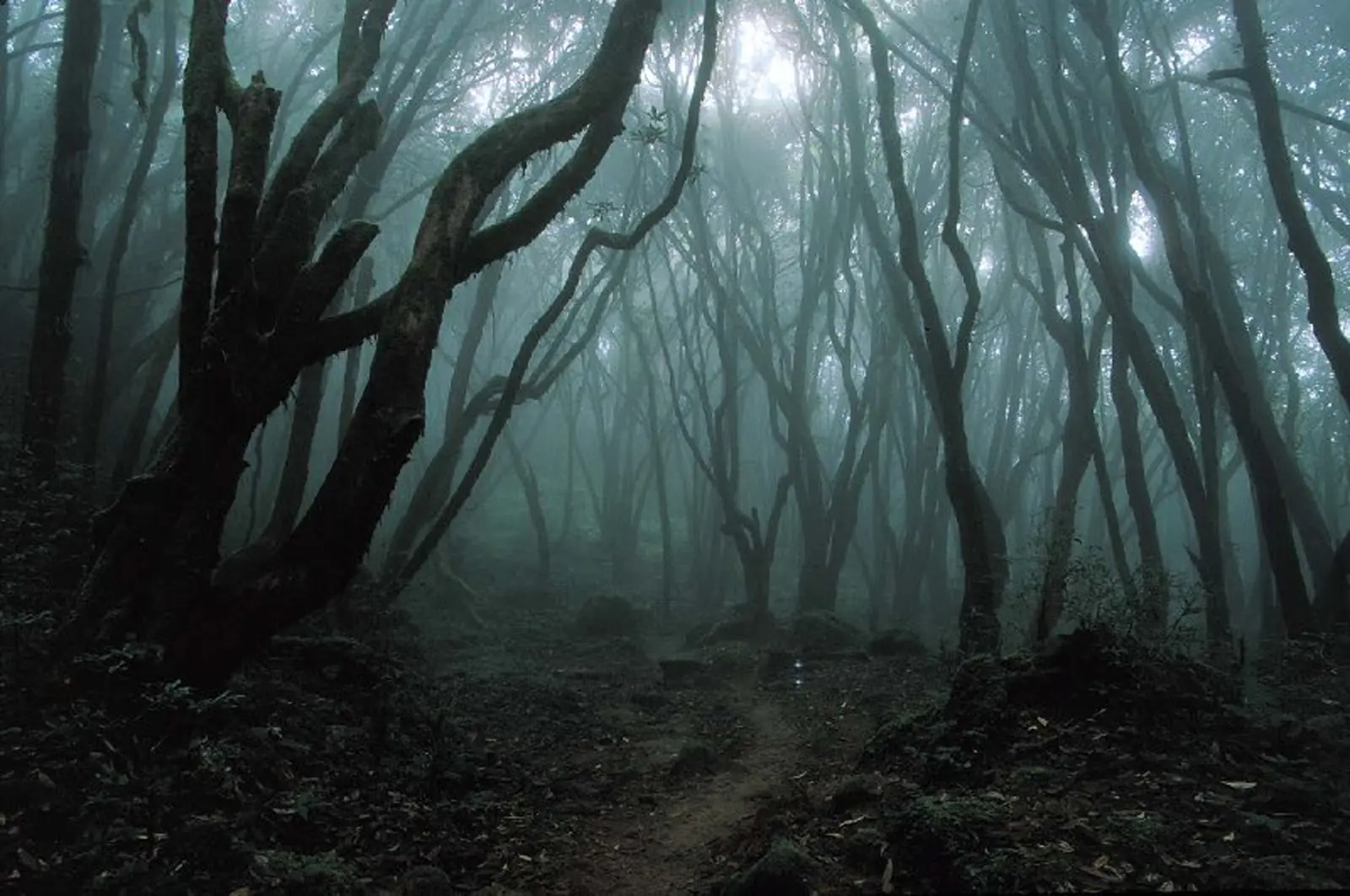paranormal