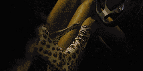 Gifs