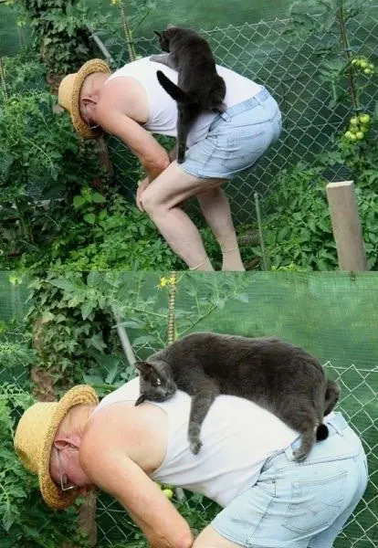 imagenes chistosas