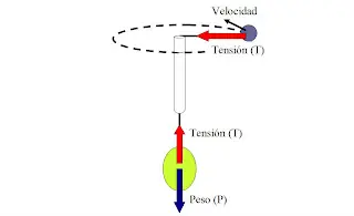 Diviertete con la ciencia