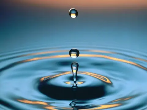 Experimentos