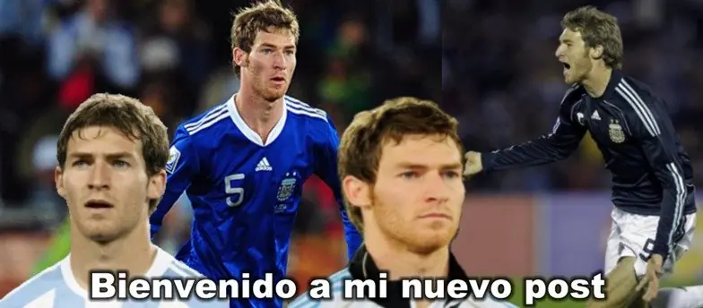 Anda a armar el arbolito lince