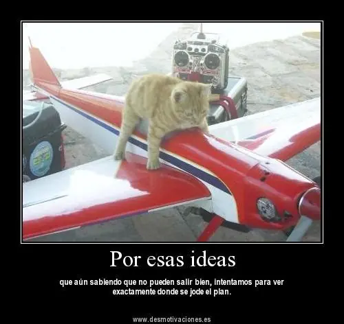homor