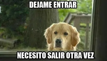 homor