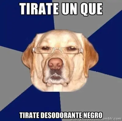 Humor Everywhere (MegaSupeUltraPost)