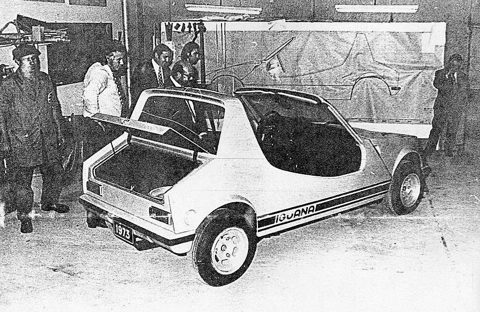 auto argentino