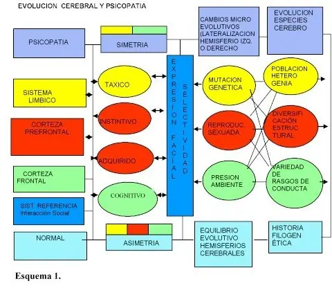 psicopatologia