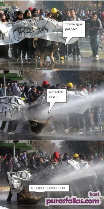 imagenes
