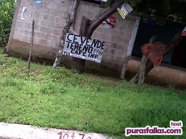 humor grafico