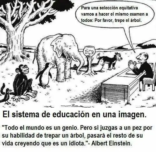 educación escolar? mala educacion
