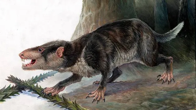 10 Mitos falsos sobre los dinosaurios