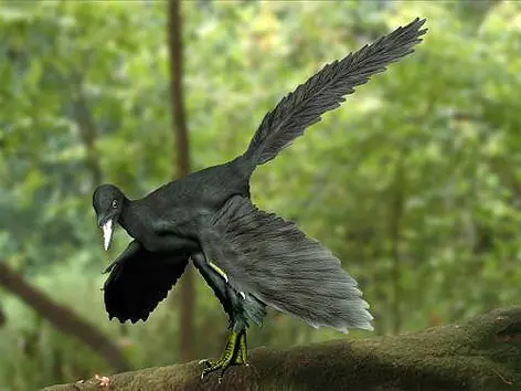 Dinosaurios