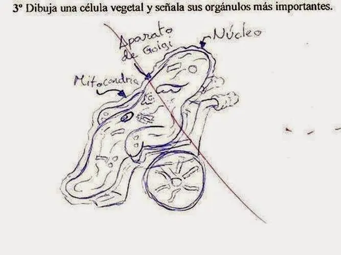 examen