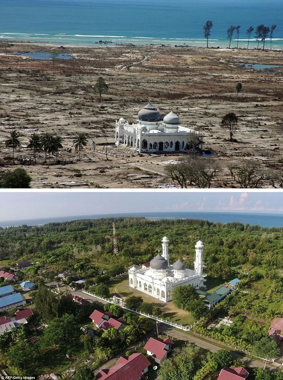tsunami 2004