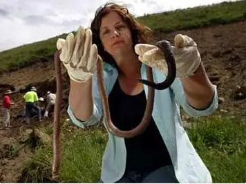 Sorpréndete 25 Gigantescos bichos de tamaño desproporciona