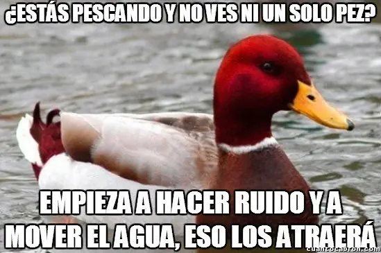 recopilacion