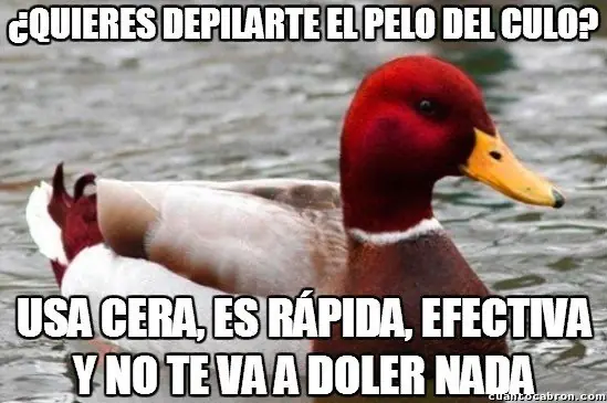 humor