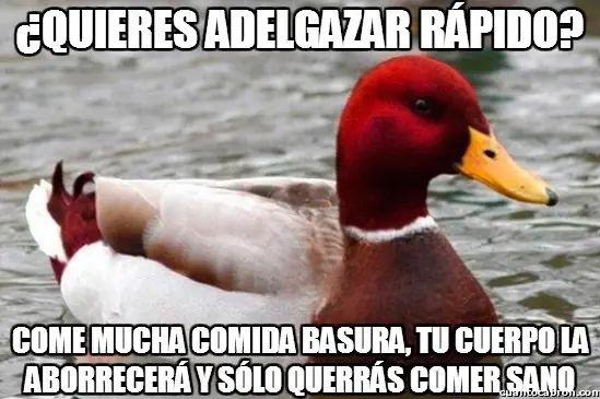 el Pato mal consejero +9 si te reis
