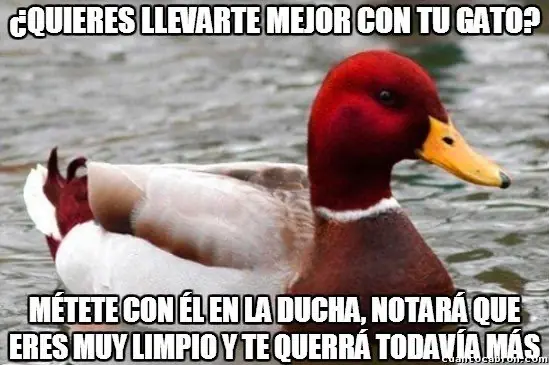 recopilacion
