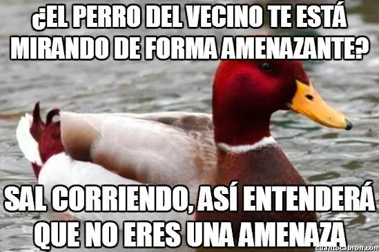 consejero