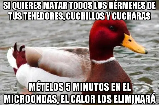 Pato