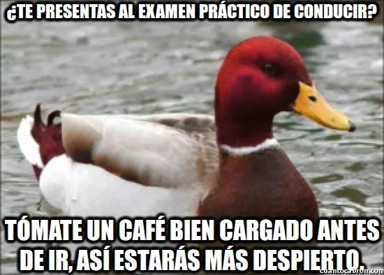 el Pato mal consejero +9 si te reis