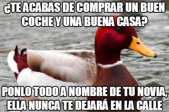 Pato