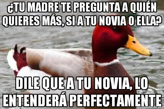 consejero