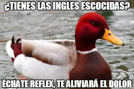 recopilacion