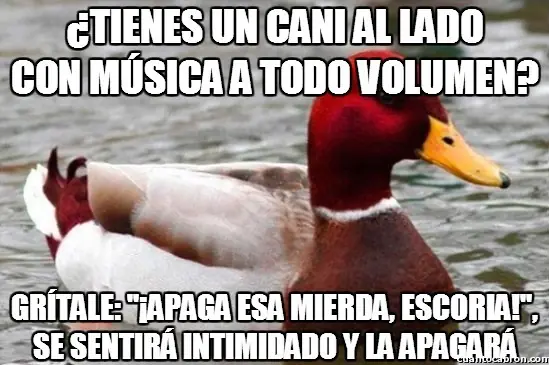 recopilacion
