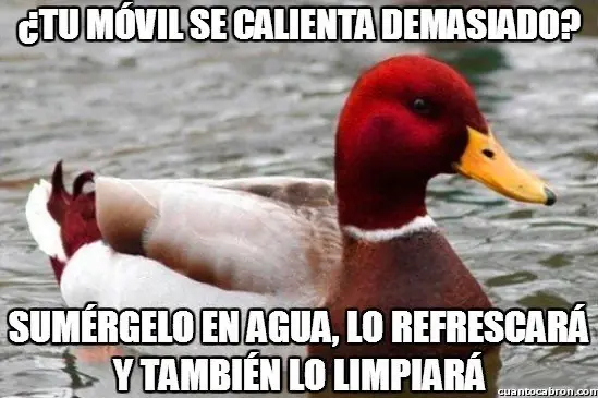 el Pato mal consejero +9 si te reis