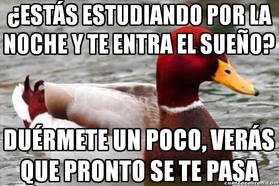 el Pato mal consejero +9 si te reis