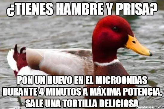 Pato