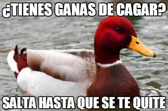 consejero
