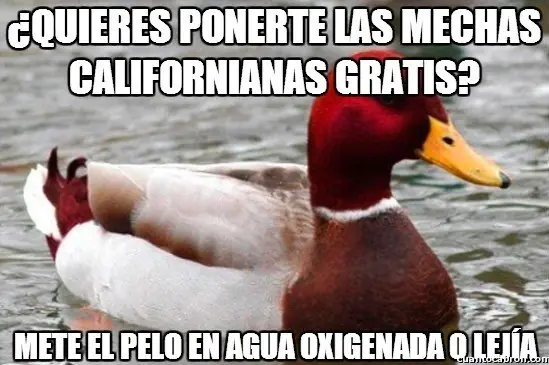 el Pato mal consejero +9 si te reis