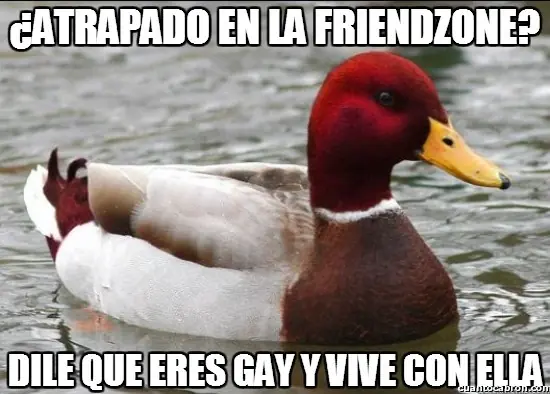Pato