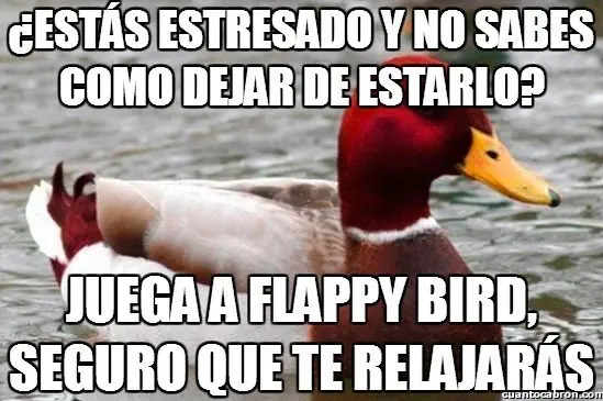 consejero