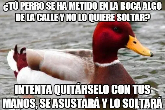humor